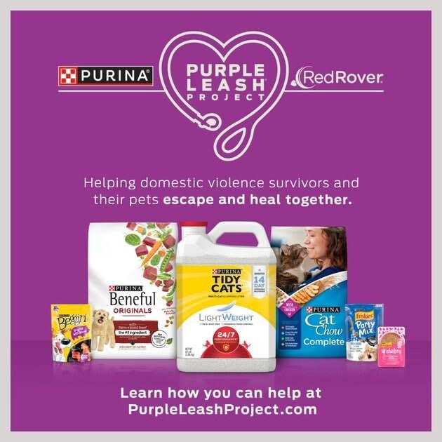 Purina Friskies Natural Grain Free Senior Broth Wet Cat Food Complement Lil’ Soups Skipjack Tuna - Healthber