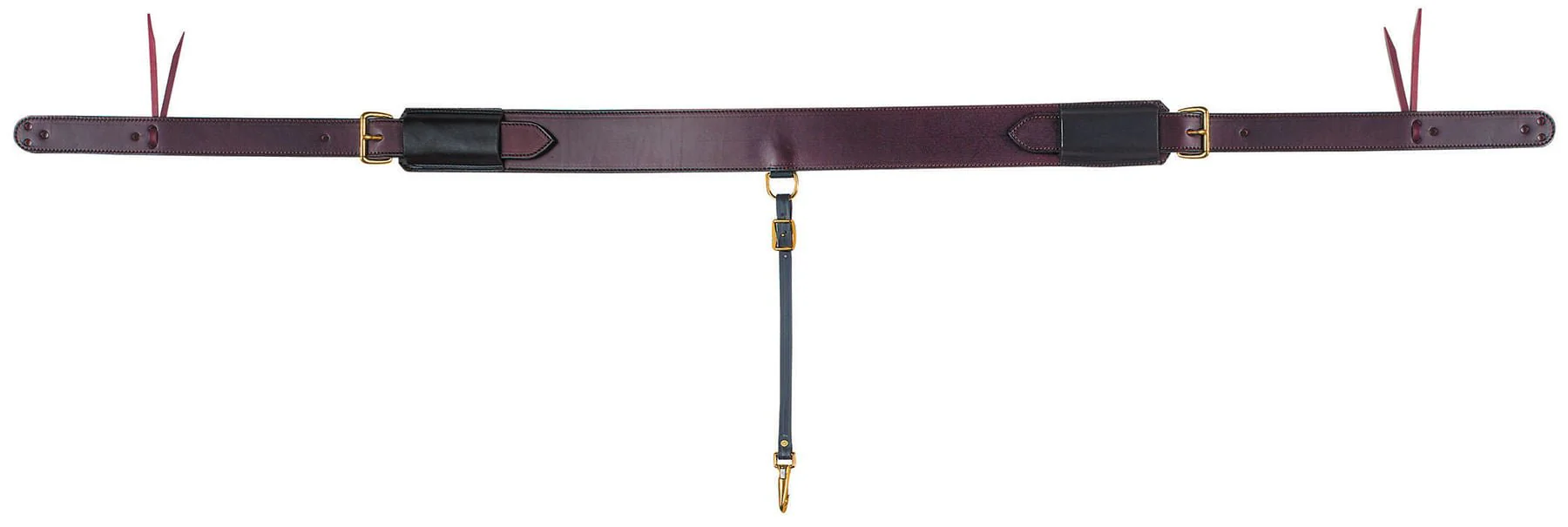 Tucker Leather Rear Cinch Set - Healthber