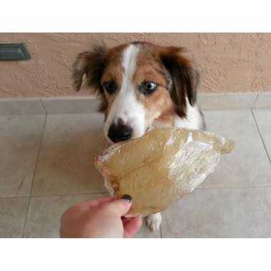 Bingo Free Range Buffalo Ears for Dogs - Healthber