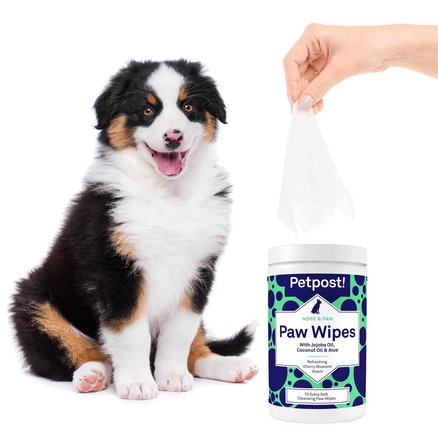 Petpost Paw Wipes for Dogs Nourishing, Revitalizing Dog Paw Cleaner with Coconut Oil, Jojoba Oil, and Aloe - Healthber