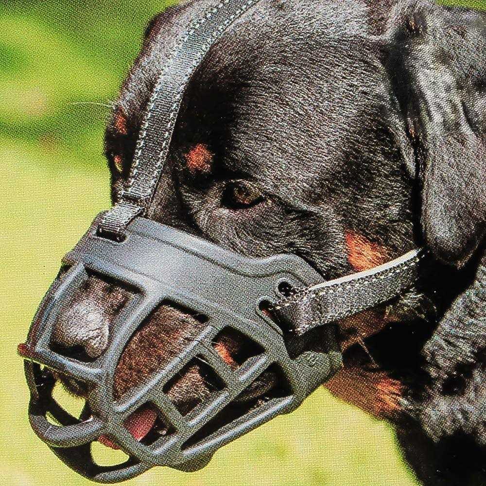 Barkless Dog Muzzle,Soft Basket Silicone Muzzles for Dog, Best to Prevent Biting, Chewing and Barking, Allows Drinking and Panting - Healthber