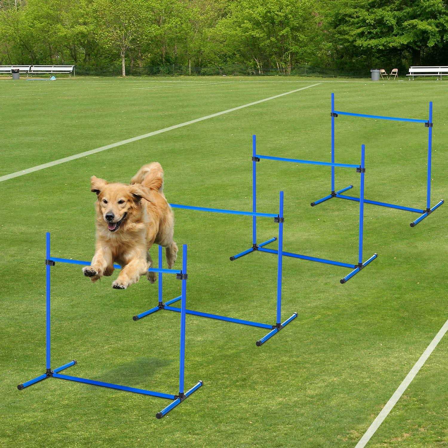Pawhut 4 Piece Dog Agility Equipment with Adjustable Height Jump Bars - Healthber