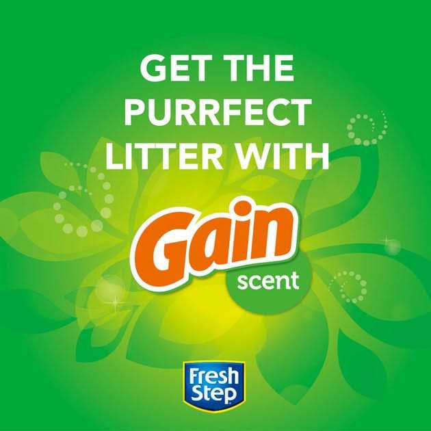 Fresh Step Febreze Freshness Clumping Cat Litter with Gain Scent - Healthber