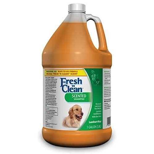 Fresh ‘n Clean Scented Shampoo - Healthber