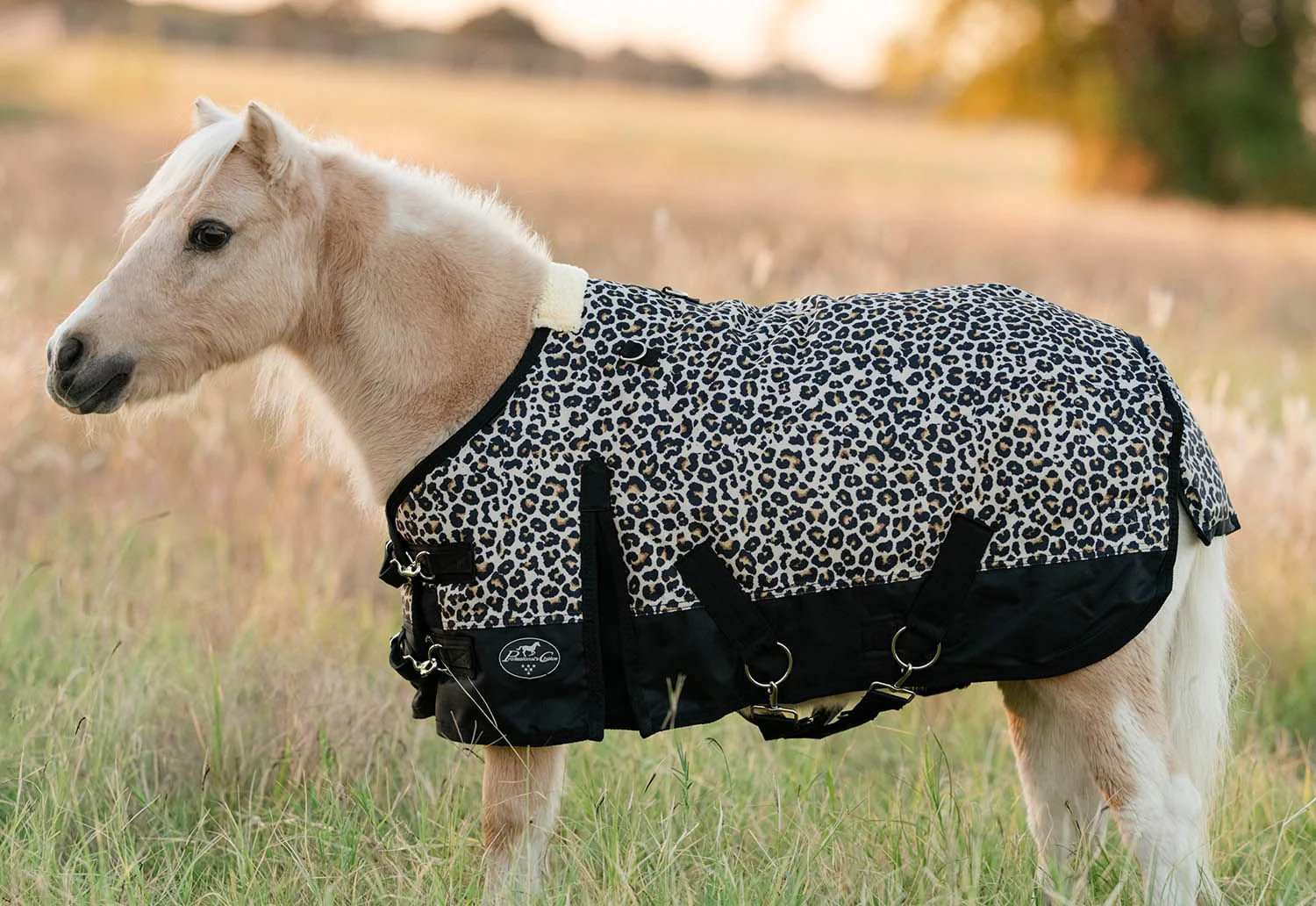 Equisential 600D Standard Neck Mini & Pony Medium Weight Blanket, Cheetah - Healthber