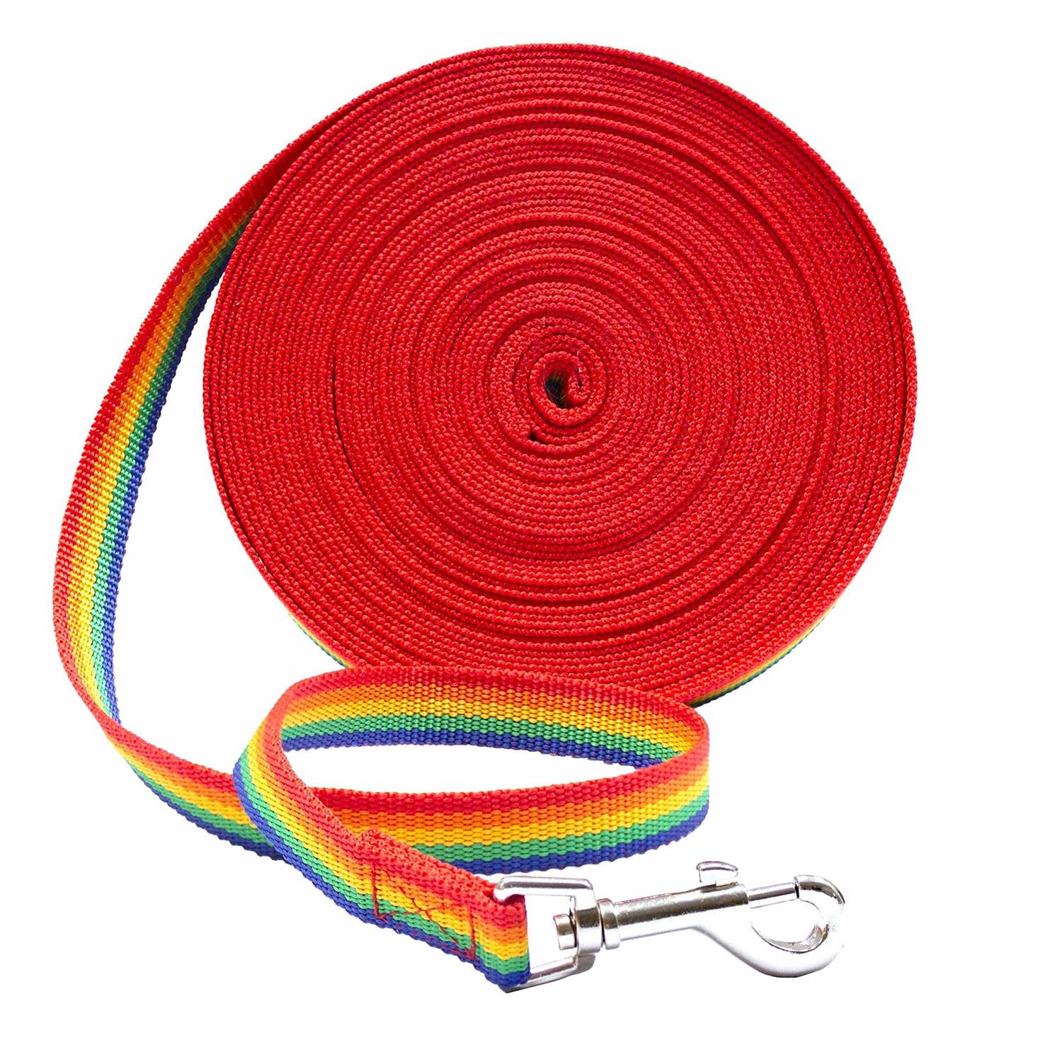 Downtown Pet Supply Long Lead Leash for Dog Training - Healthber