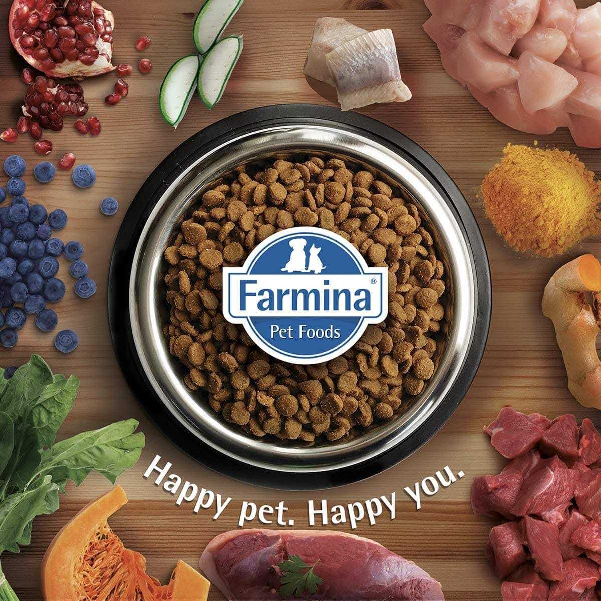 Farmina N&D Prime Feline Adult - Healthber