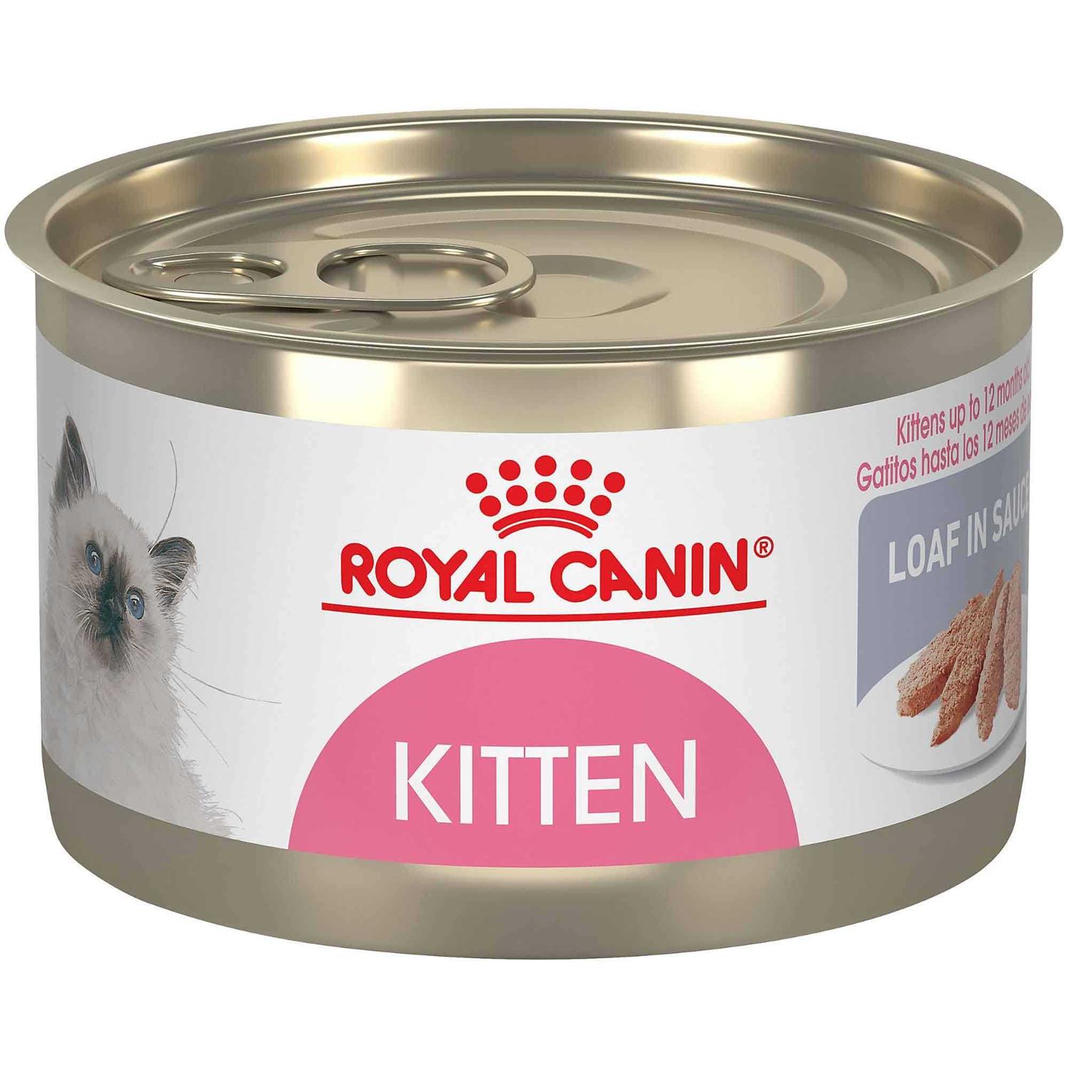 Royal Canin Kitten Loaf in Sauce Cat Food - Healthber
