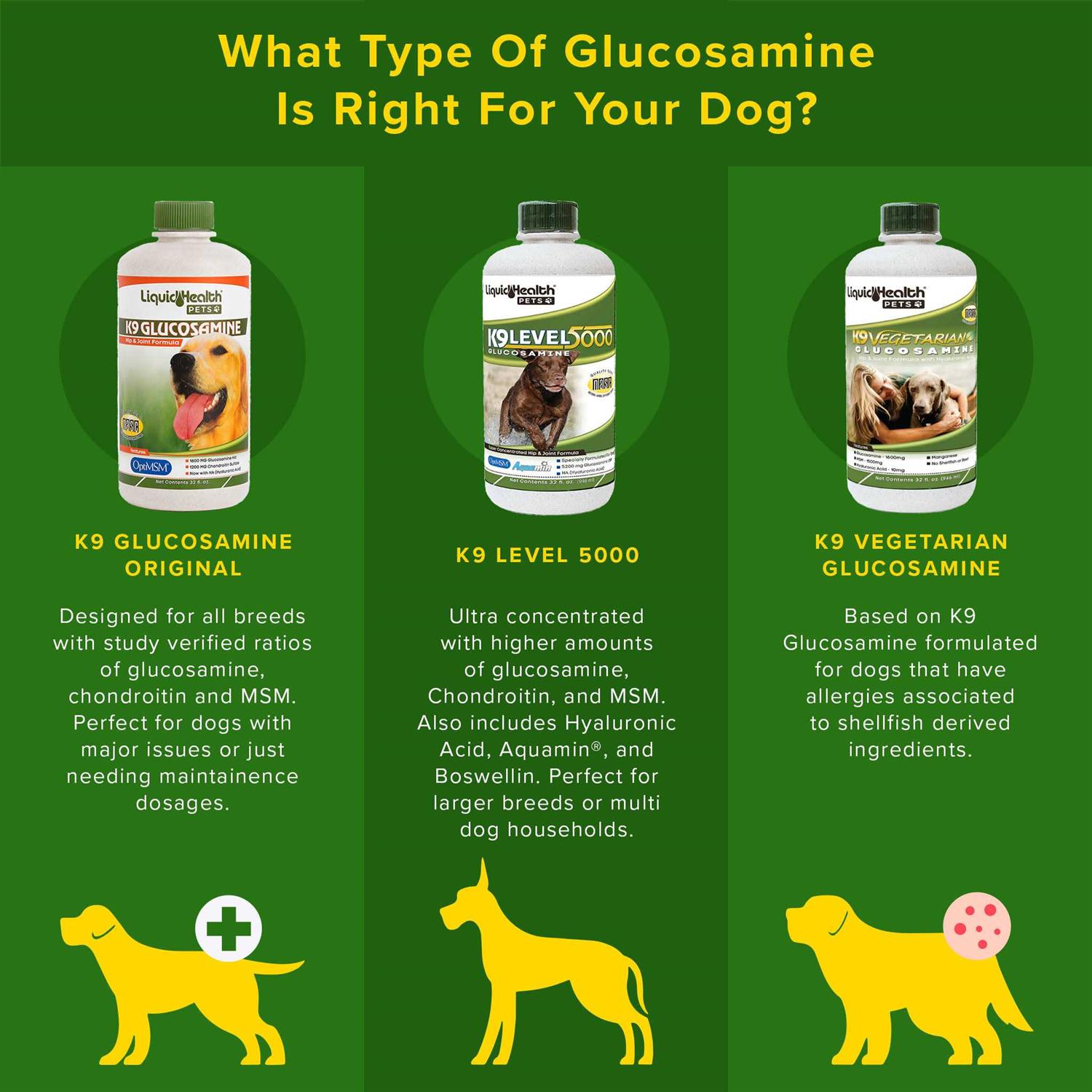 Liquid Health Pets K9 Glucosamine for Dogs Joint Supplement - Healthber