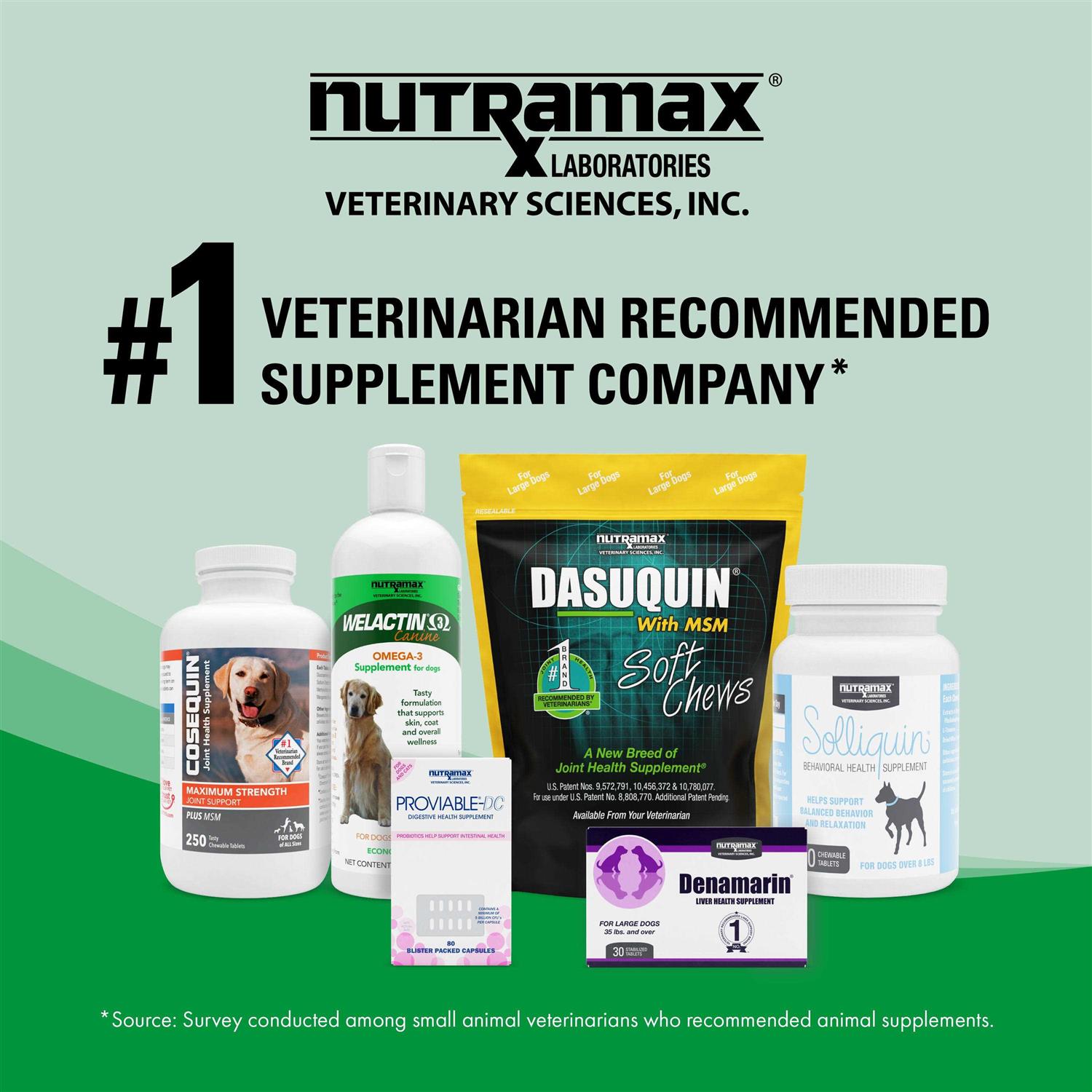 Nutramax Welactin Omega-3 Fish Oil Liquid Skin & Coat Supplement for Cats - Healthber