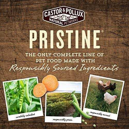 Castor & Pollux Pristine Beef Bone Broth - Healthber