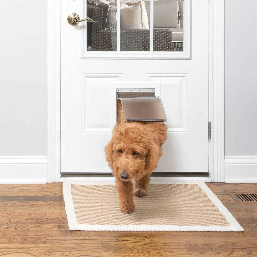 PetSafe Aluminum Freedom Pet Door - Healthber