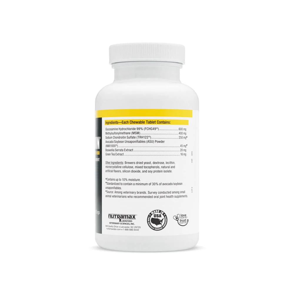 Nutramax Dasuquin for Dogs, Joint Health Supplement, Contains Glucosamine, Plus Chondroitin, ASU, MSM and More, Supports Healthy Joints, Chewable Tablets - Healthber