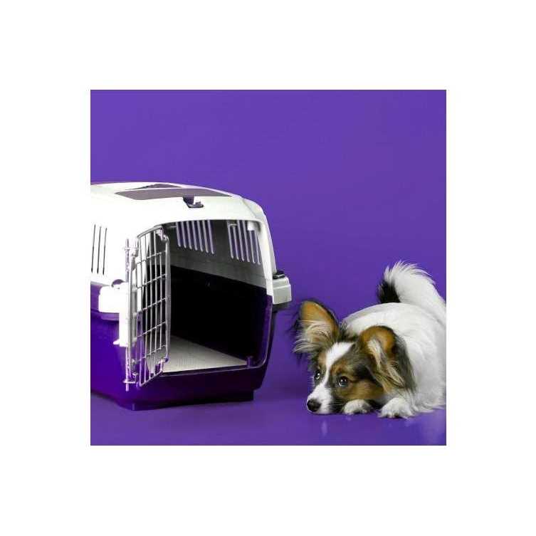 Simple Solution 6-Layer All Day Premium Dog Pads - Healthber