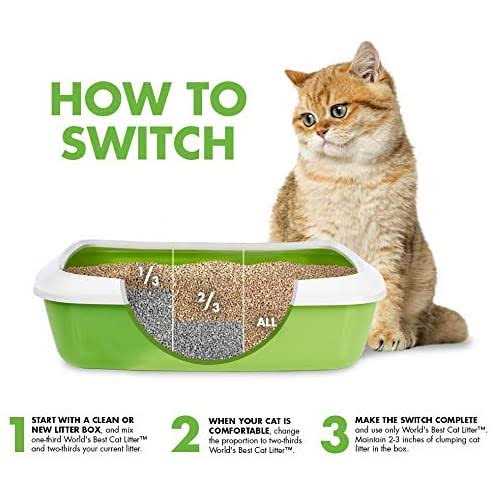 World’s Best Cat Litter Multiple Cat Lotus Blossom Scented - Healthber
