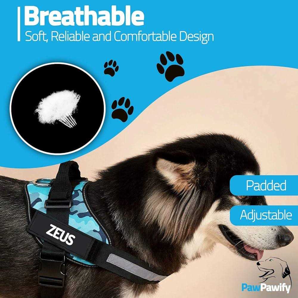 PawPawify Lifetime Warranty Personalized Easy-On No Pull Dog Harness - Healthber