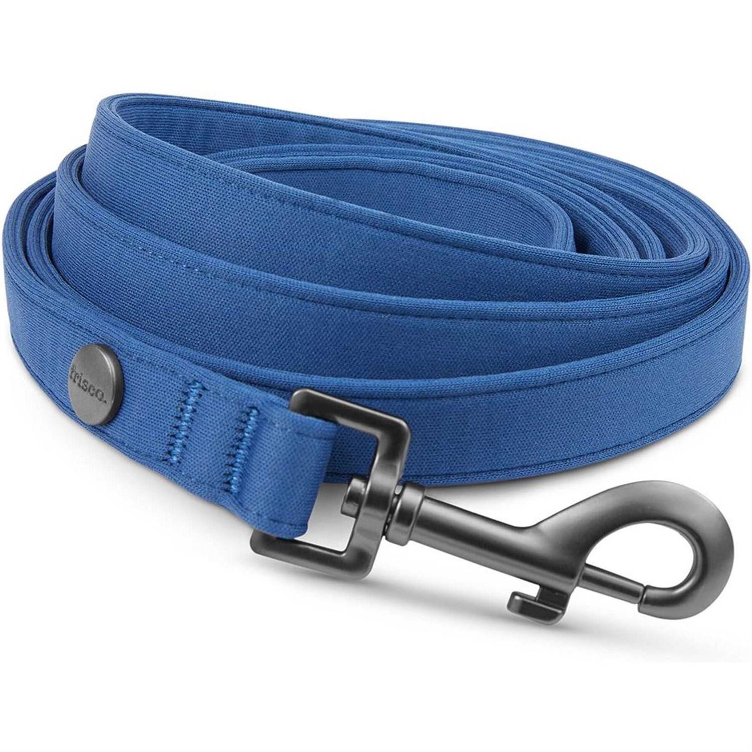 Frisco Comfort Padded Dog Leash - Healthber