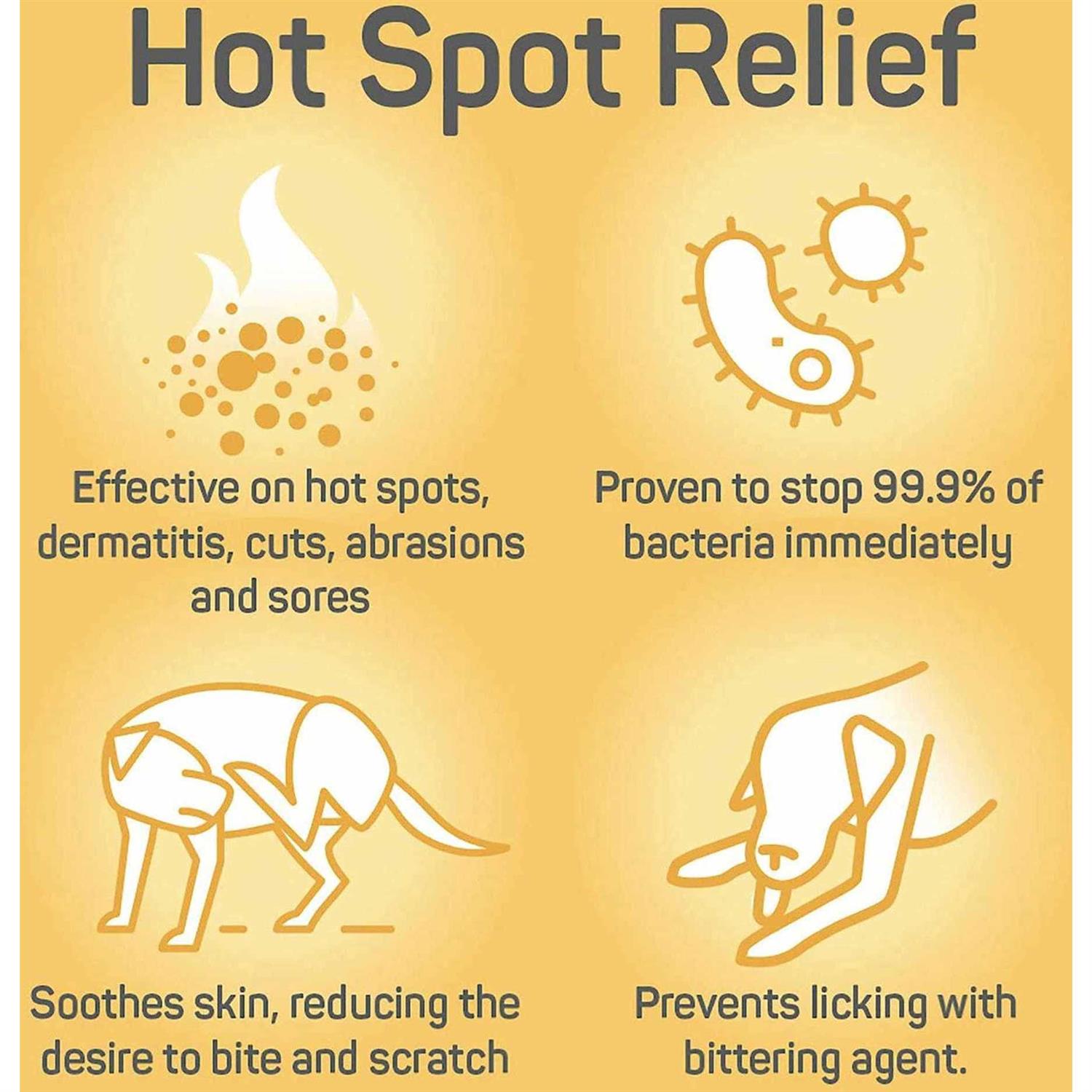 Silver Honey Hot Spot & Wound Care Ointment - Healthber