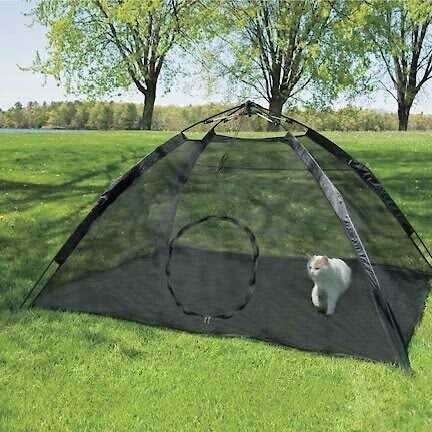 Abo Gear Outdoor Cat Tent Black Large 75 inchl x 64 inchw x 37 inchh - Healthber