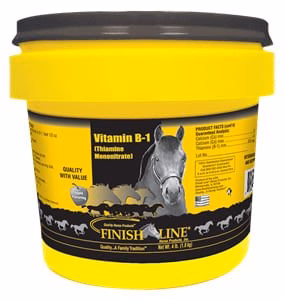 Vitamin B1 (Thiamine) Blend - Healthber