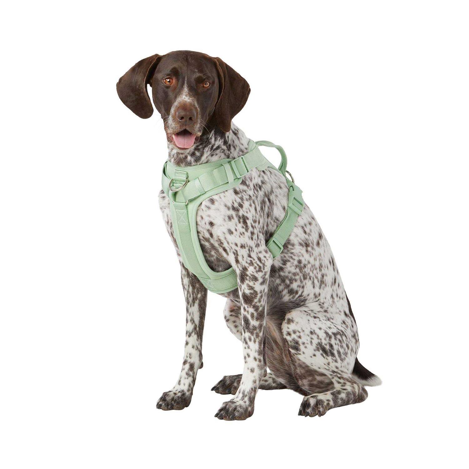 Top Paw Core Fashion Adjustable Comfort Dog Harness - Healthber