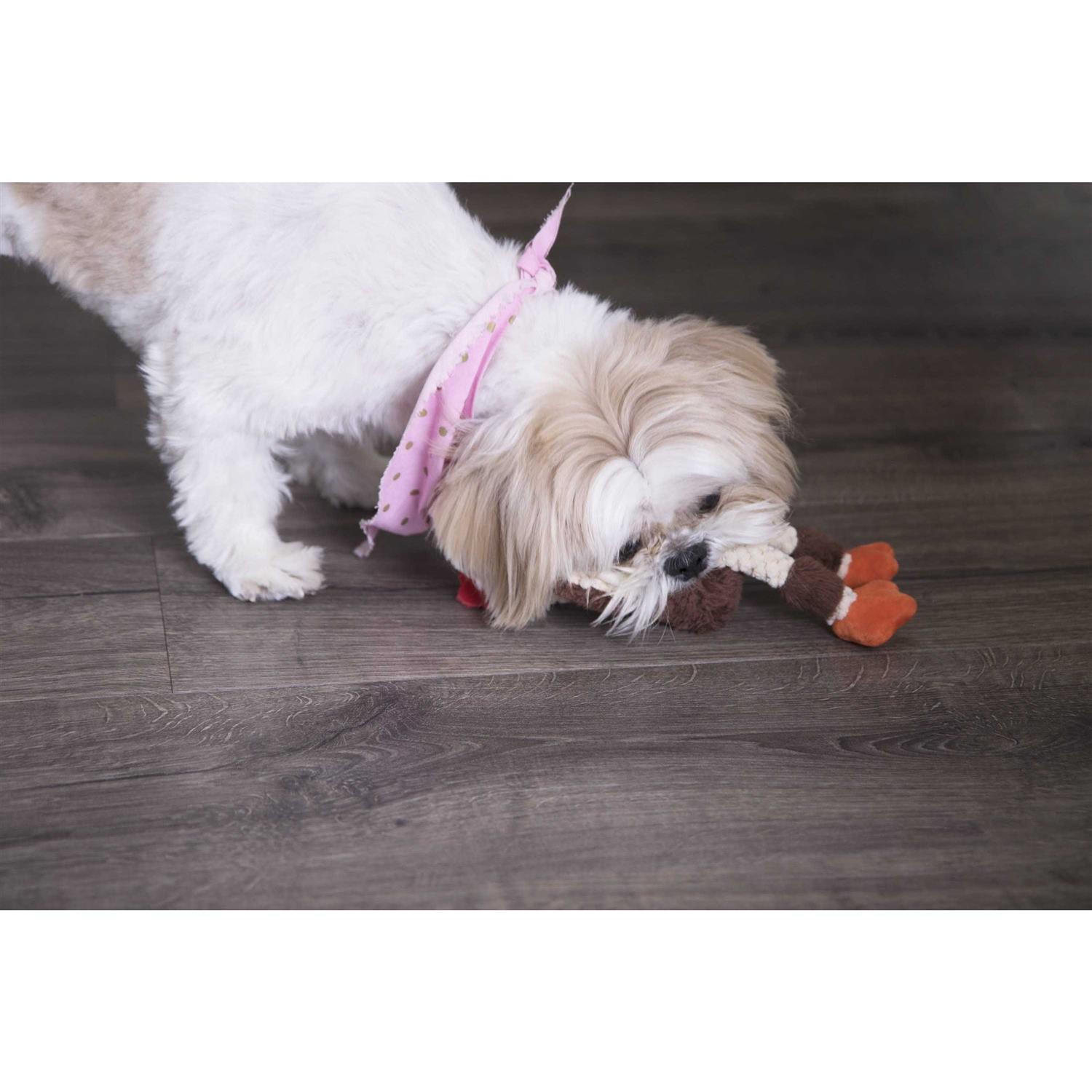 goDog Checkers Chew Guard Skinny Rooster Dog Toy - Healthber