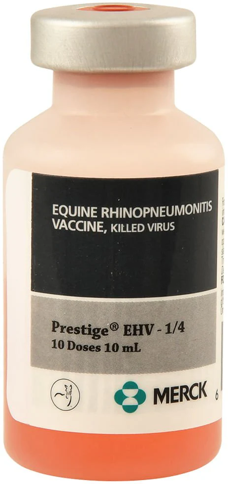 Prestige EHV-1/4, 10 dose - Healthber