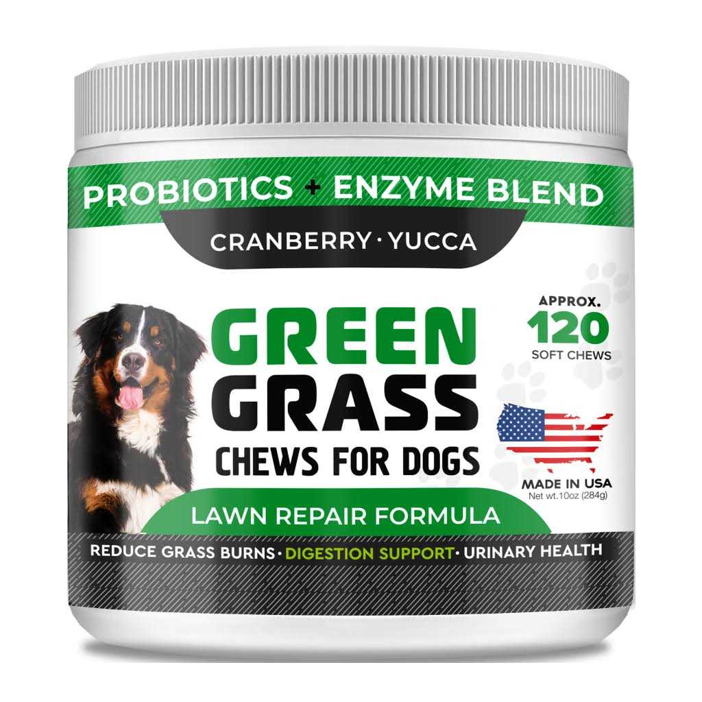 StrellaLab Grass Restore Treats for Dogs - Healthber