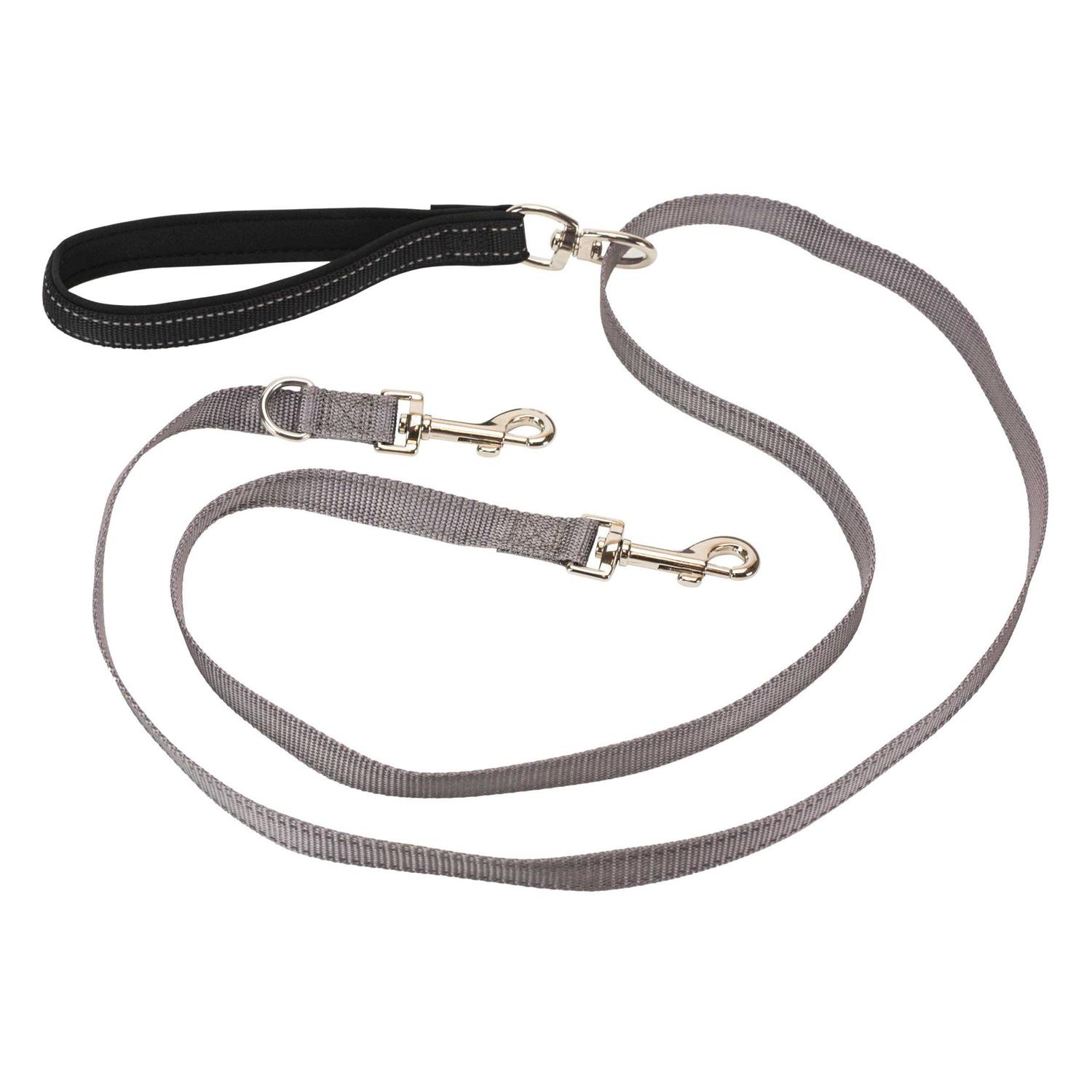 PetSafe Two Point Control Dog Leash - Healthber