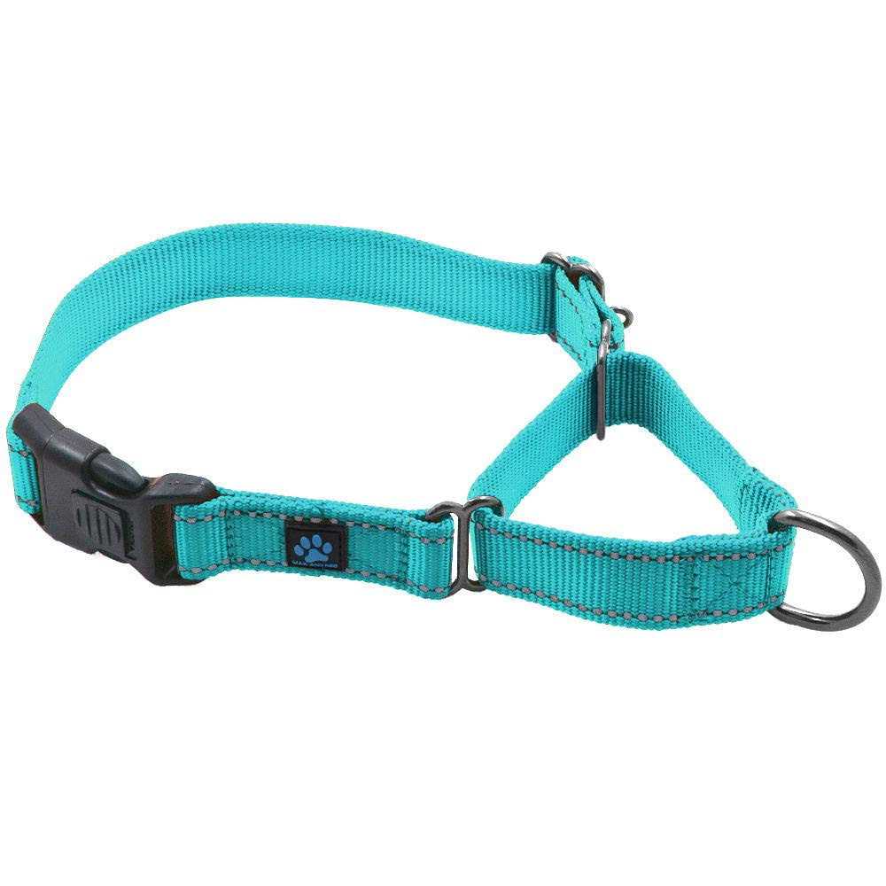 Max and Neo Nylon Martingale Collar We Donate a Collar to a Dog Rescue for Every Collar Sold - Healthber