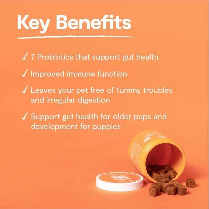 Open Farm Dog Supplement Probiotic Chews - Healthber