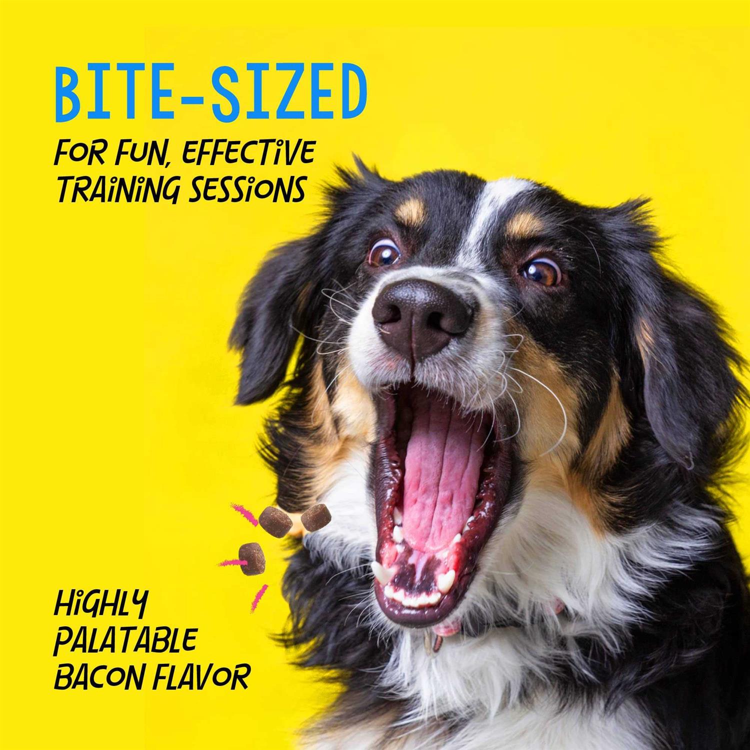 Crazy Dog Train-Me! Mini Bacon Treats - Healthber