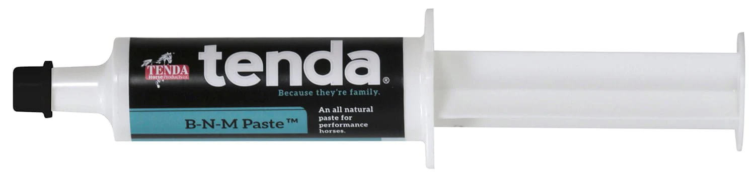 B-N-M Paste, 60 cc Syringe - Healthber