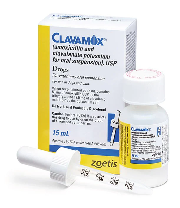 Rx Clavamox for Dogs and Cats (Amoxicillin trihydrate/clavulanate potassium) For Oral Suspension Oral Drops, 15 ml - Healthber