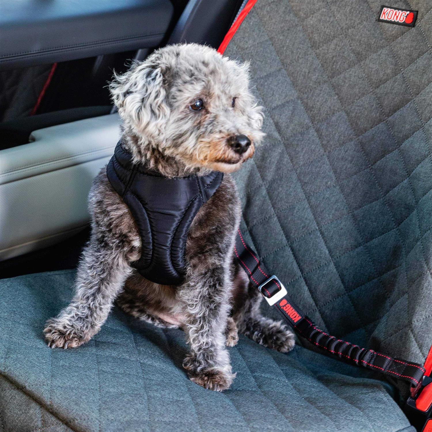 KONG Deluxe Swivel Tether - Healthber