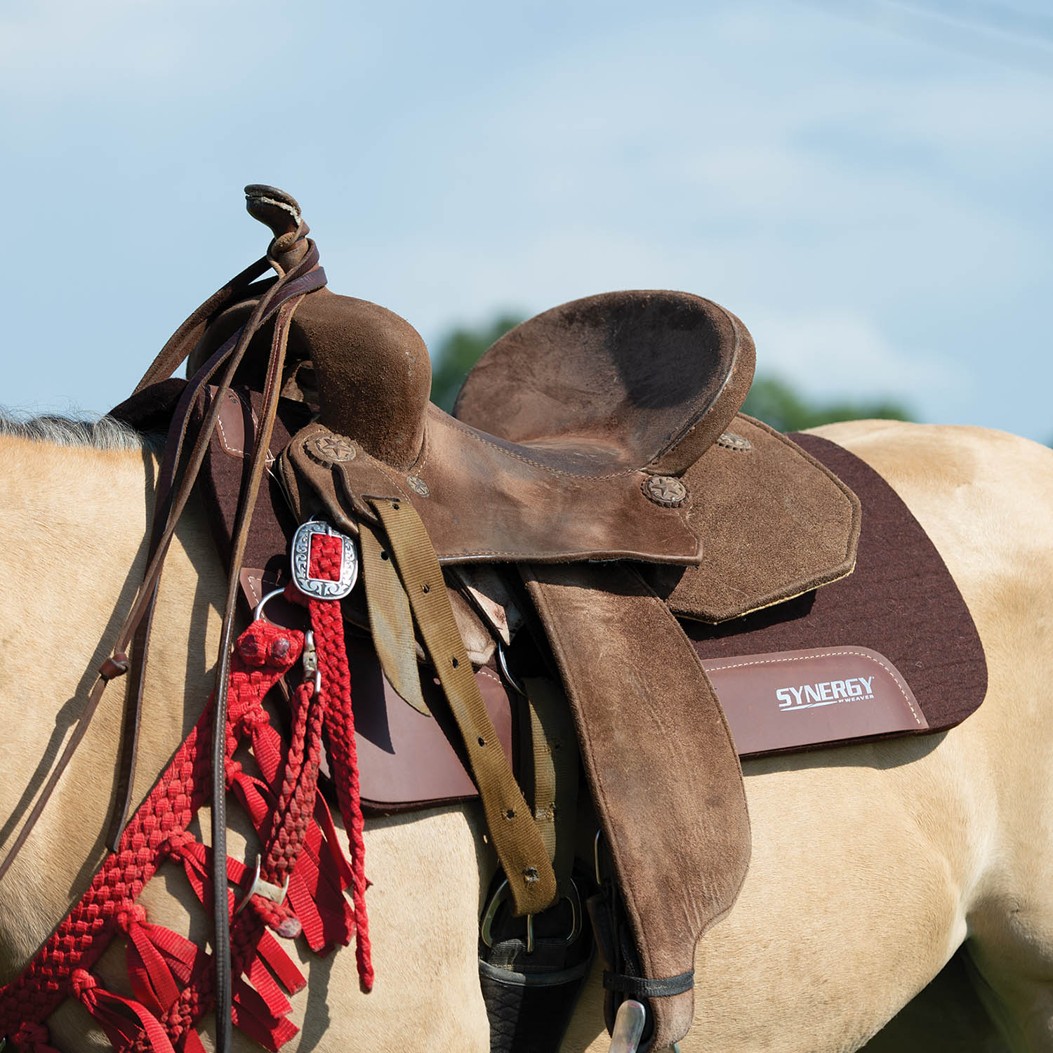 Weaver Synergy Contoured Steam Pressed 100% Merino Wool Felt Performance Saddle Pad - Healthber