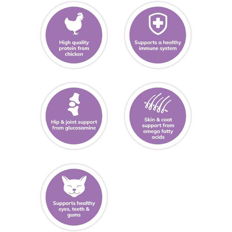 Wellness Complete Health Grain-Free Indoor Deboned Chicken Recipe Dry Cat Food - Healthber