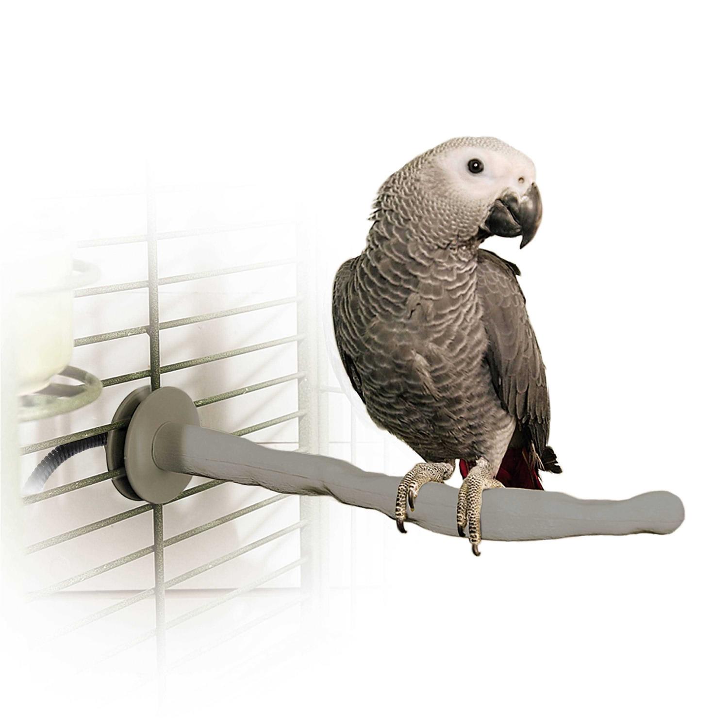 K&H Pet Products Bird Thermo-Perch - Healthber