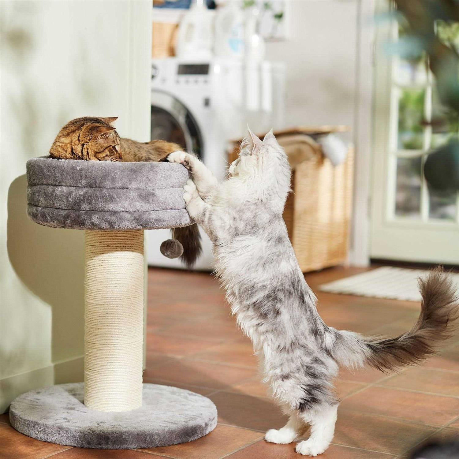 Frisco 24.8-in Heavy Duty Faux Fur Cat Tree - Healthber