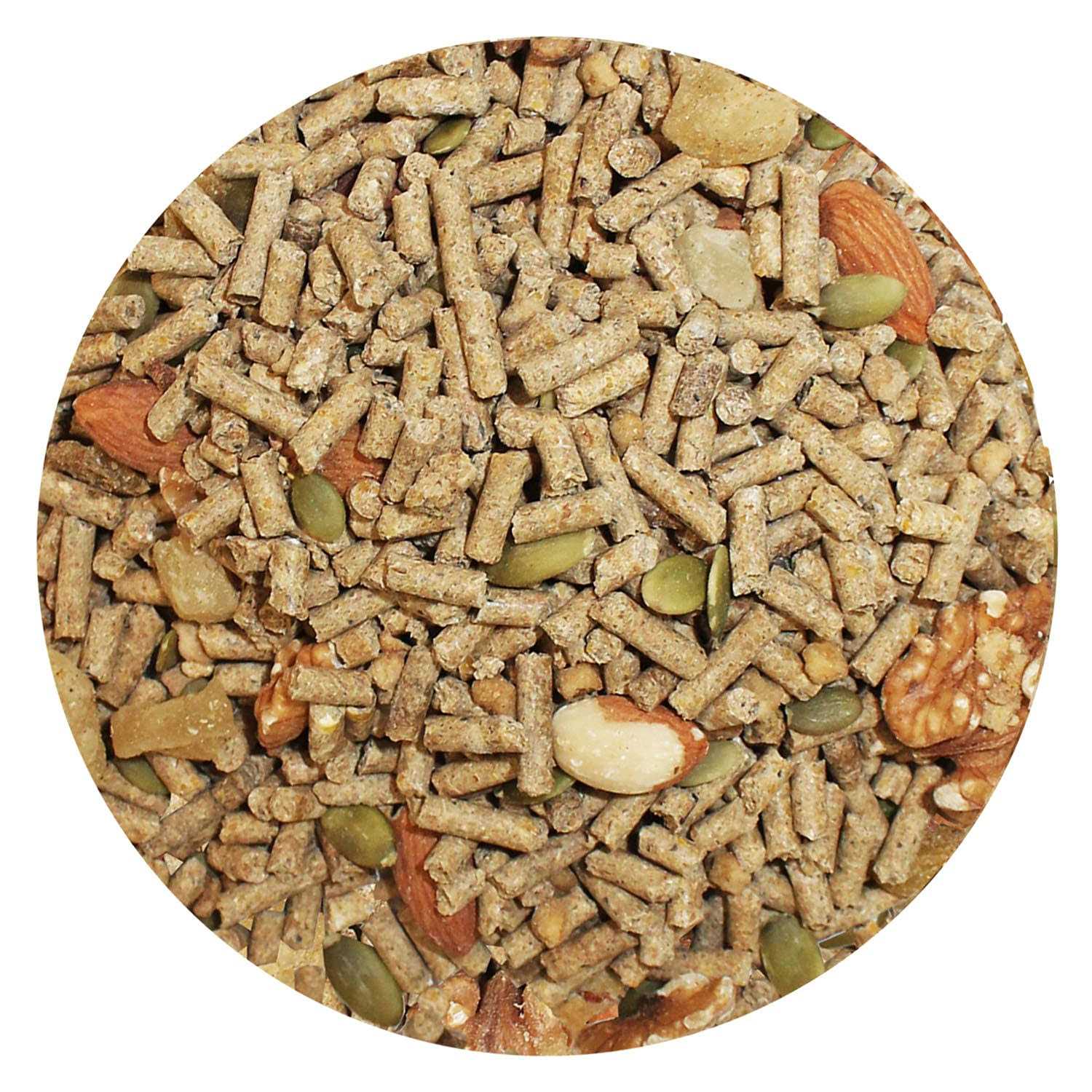 Exotic Nutrition Deluxe Diet Squirrel Food - Healthber