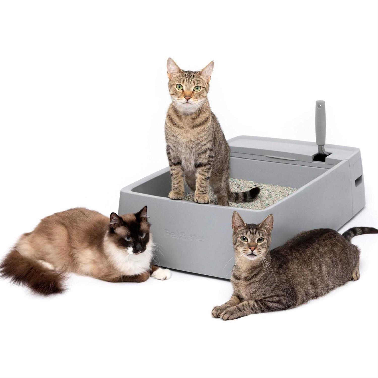 PetSafe Multi-Cat Litter Box - Healthber