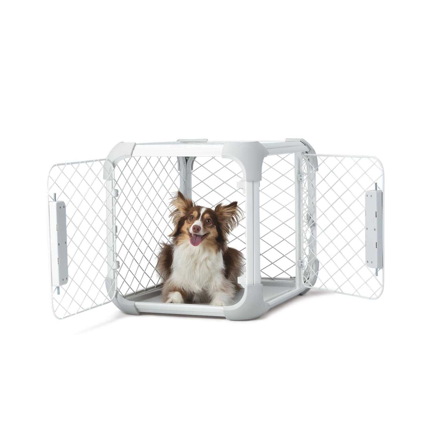 Diggs Evolv Dog Crate - Healthber
