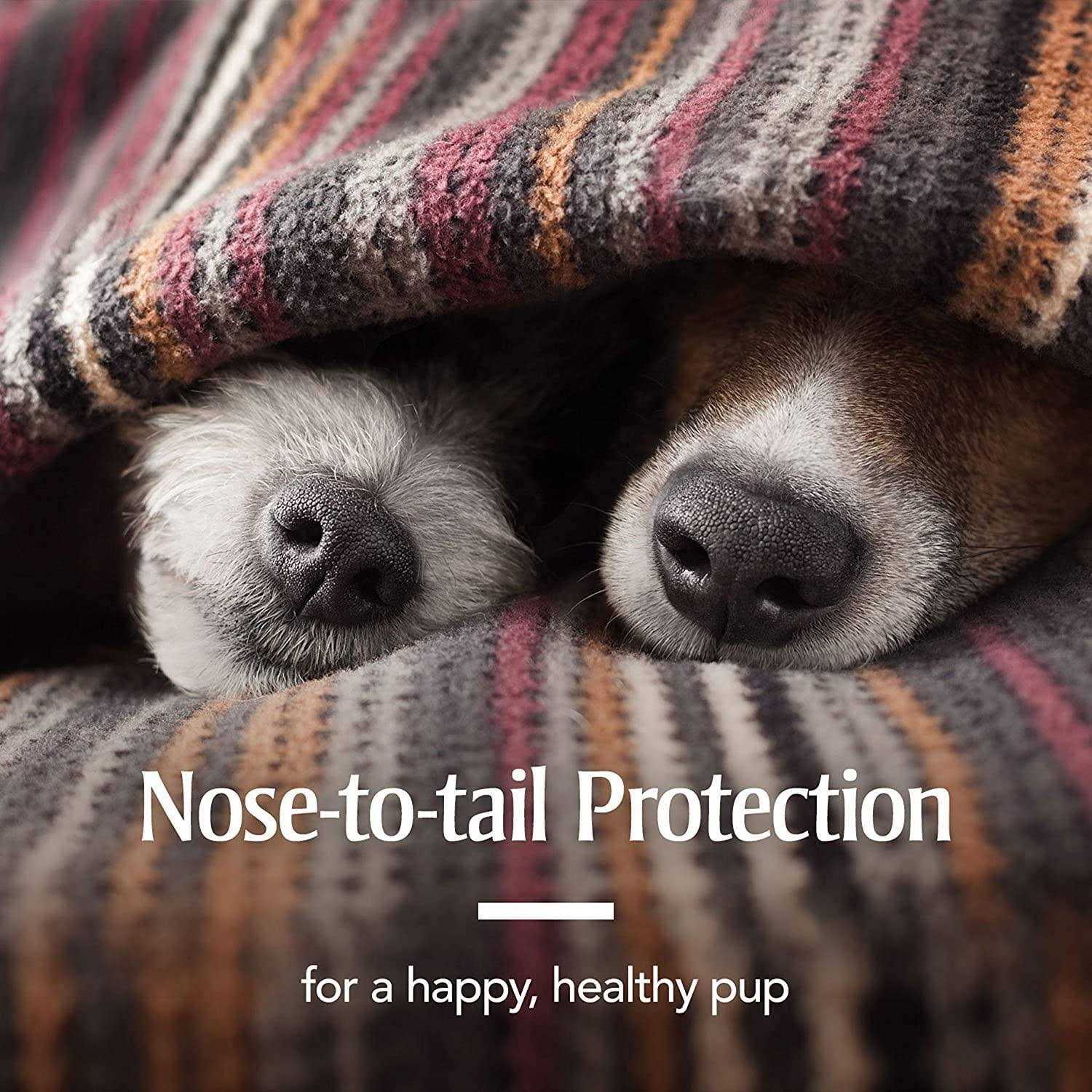 PetArmor Plus Flea & Tick Collar for Dogs - Healthber