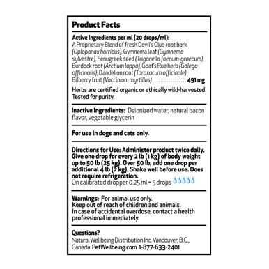 Pet Wellbeing Blood Sugar Gold for Dogs - Healthber