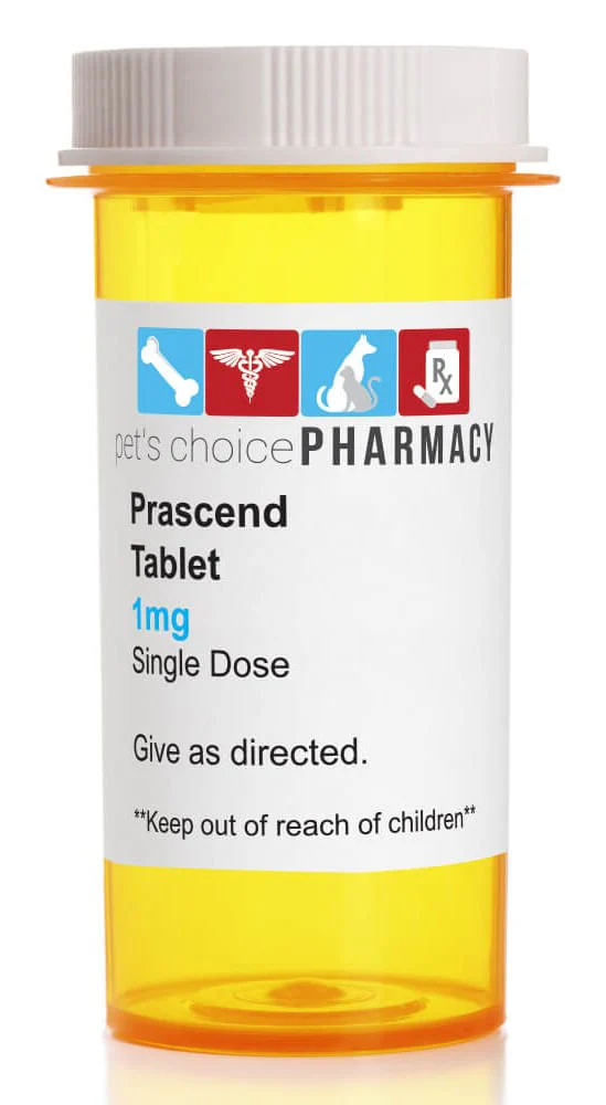 Rx Prascend (pergolide tablets) for Horses, 1 mg - Healthber
