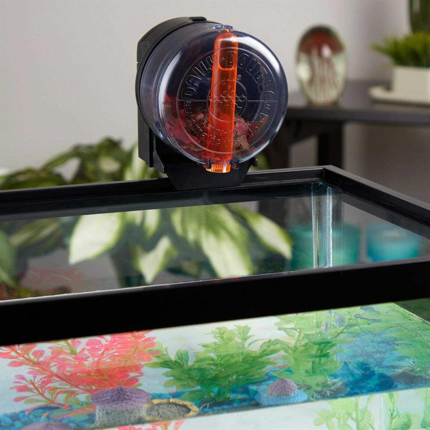 Penn-plax Automatic Daily Double Automatic Fish Feeder for Aquariums - Healthber