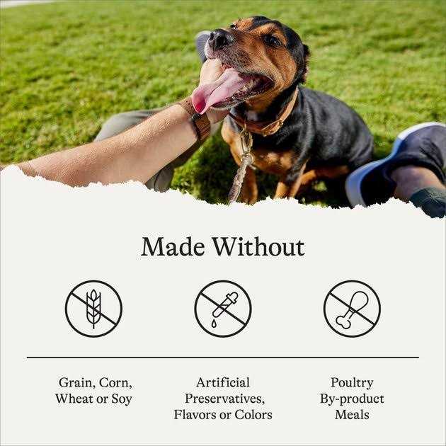 American Journey Limited Ingredient Grain-Free u0026 Sweet Potato Recipe Dry Dog Food - Healthber
