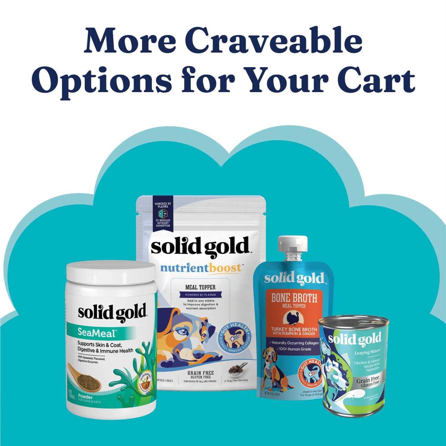 Solid Gold Holistique Blendz Oatmeal Fish Dry Dog Food - Healthber
