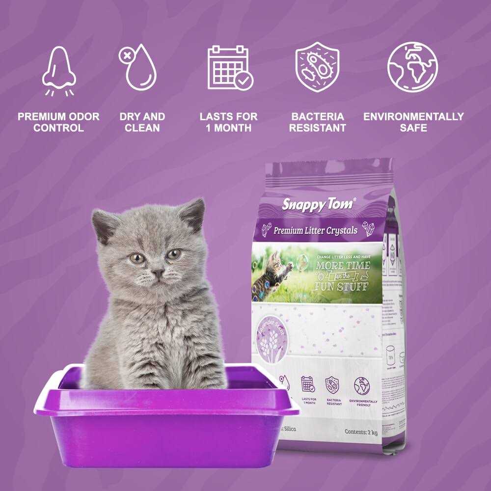 Snappy Tom Crystal Cat Litter - Healthber