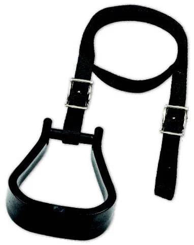 Mustang's Mounting Stirrup - Healthber